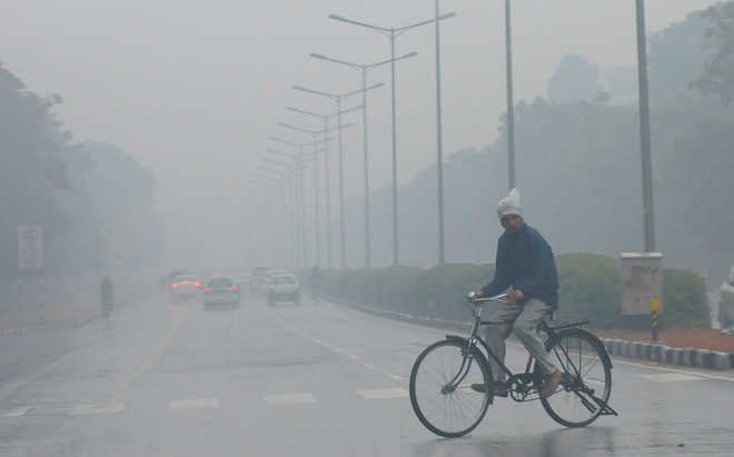 Weather Update Today: 'Cold Day' in Haryana; weather will take a turn on January 8, mercury drops to 10 degrees in Punjab