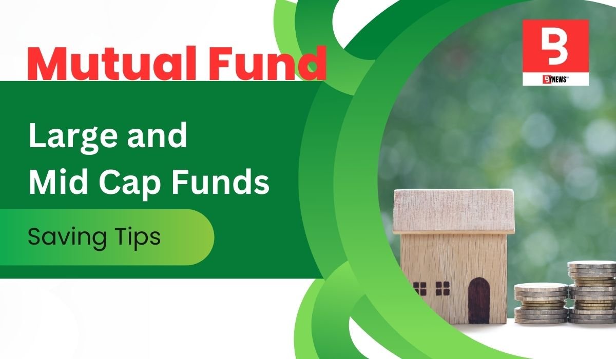 Large & Mid Cap Fund