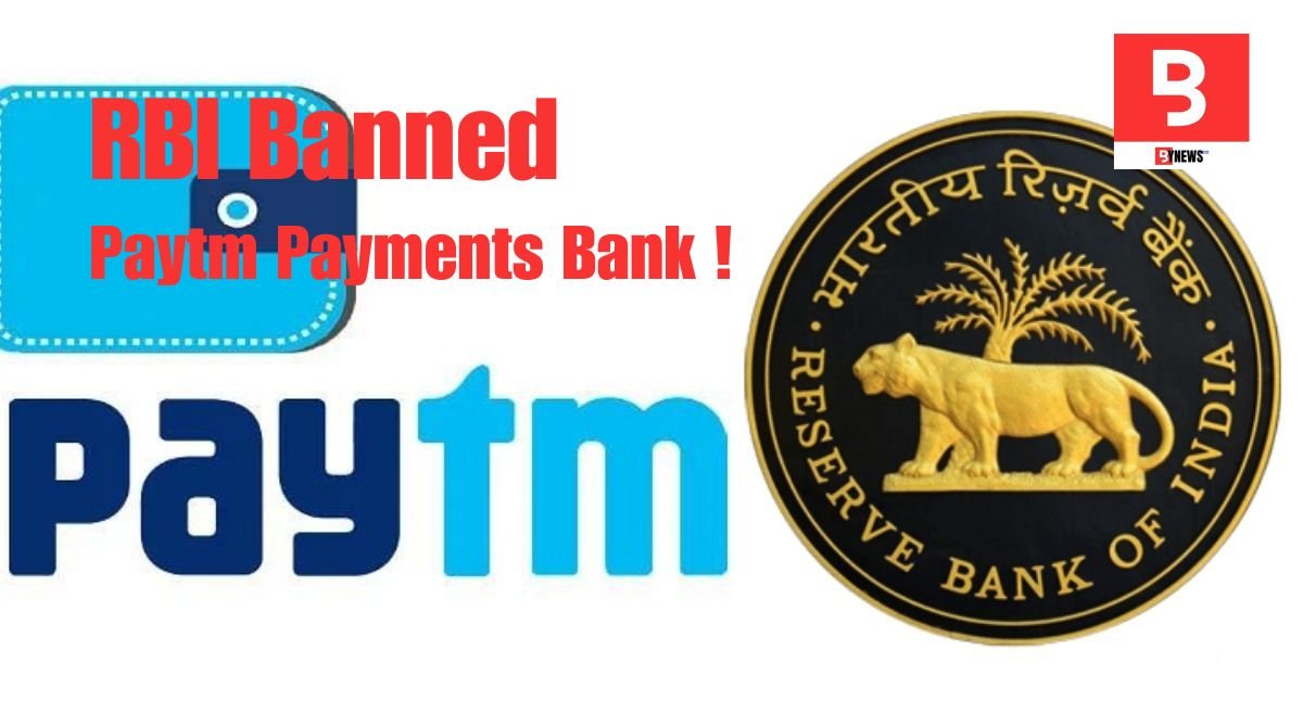 Decoding the Paytm Puzzle: RBI's Move Sparks Uncertainty – Get Ready for All Your Queries Resolved Right Here!