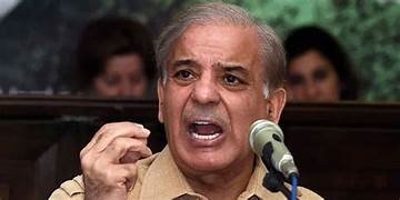 New Pakistan PM Shehbaz Sharif's Anti-India Stance: Venomous Comments Surface Before Oath!