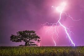 Monsoon Fury: Deadly Lightning Strikes Claim 85 Lives in UP, Bihar, and Jharkhand!