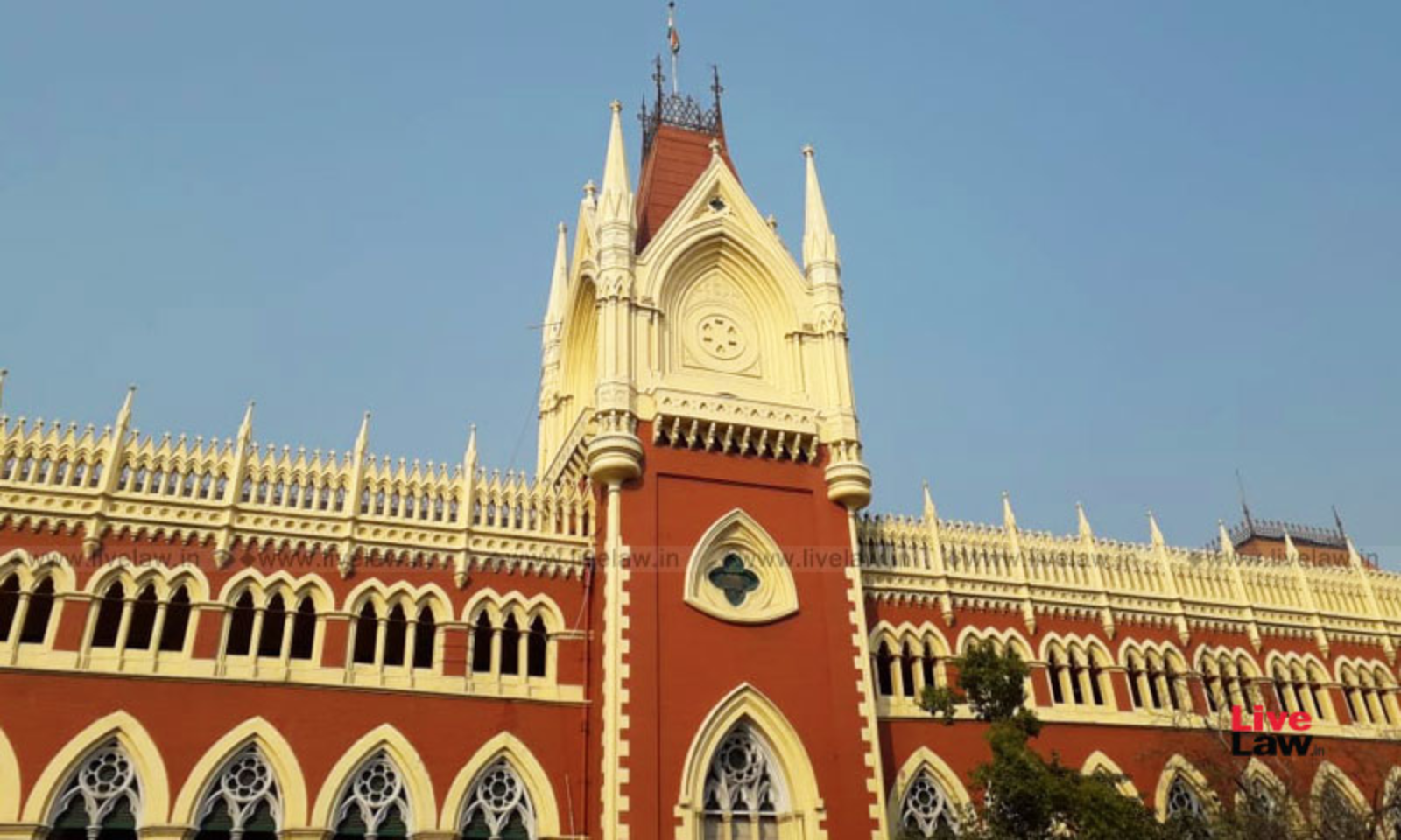 Kolkata Rape-Murder Case: Why Was Principal Not Questioned? CBI Ordered