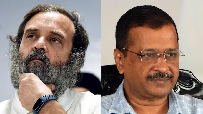 Congress-AAP Alliance: Why Rahul Seeks AAP Alliance in Haryana Despite Congress's Strength?